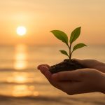 Mãos segurando uma pequena planta brotando do solo ao nascer do sol, simbolizando prosperidade e crescimento.