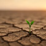 Broto verde surgindo em solo rachado ao amanhecer, simbolizando renovação de energia em fase difícil